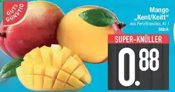 E-Center Mango Mango „Kent/Keitt❝ Angebot