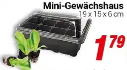 CENTERSHOP Mini-Gewächshaus Angebot