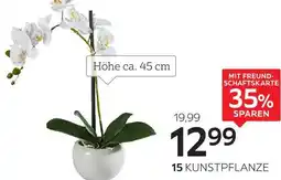 XXXLutz Ambia home lunstpflanze orchidee Angebot