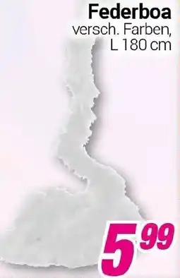 CENTERSHOP Federboa Angebot