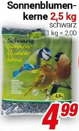CENTERSHOP Sonnenblumenkerne Angebot