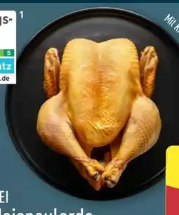 Aldi Nord Meine Metzgerei Mini-Maispoularde Angebot