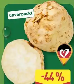 Aldi Nord Knollen-Sellerie Angebot
