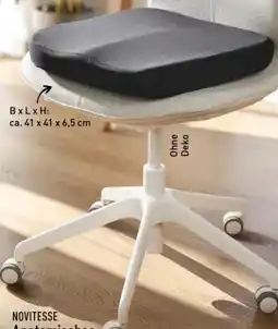 Aldi Nord Novitesse Anatomisches Sitzkissen Angebot