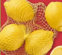 Aldi Nord Zitronen XXL Angebot