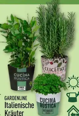 Aldi Nord Gardenline Kräuter Angebot
