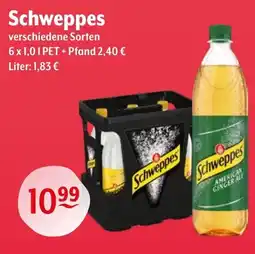 Getränke Hoffmann Schweppes Angebot