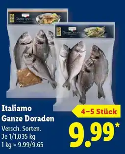 Lidl Italiamo Ganze Doraden Angebot