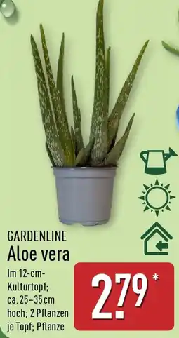 Aldi Nord GARDENLINE Aloe vera Angebot