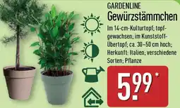 Aldi Nord GARDENLINE Gewürzstämmchen Angebot