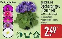 Aldi Nord GARDENLINE Becherprimel ,,Touch Me" Angebot