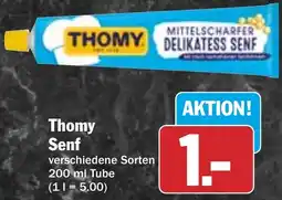 HIT Thomy Senf Angebot