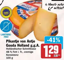 HIT Pikantje von Antje Gouda Holland g.g.A. Angebot