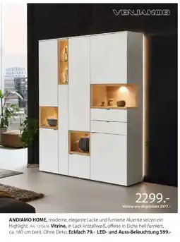 Zurbrüggen VENJAKOB ANDIAMO HOME Vitrine Angebot
