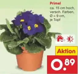Netto Marken-Discount Primel Angebot