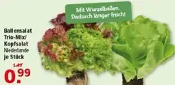 Multi Markt Ballensalat Trio-Mix/ Kopfsalat Angebot