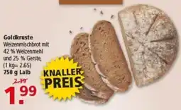 Multi Markt Goldkruste Angebot