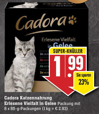 Edeka Cadora Katzennahrung Erlesene Vielfalt in Gelee Angebot