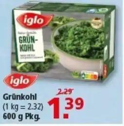 Multi Markt iglo Grünkohl Angebot