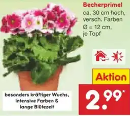Netto Marken-Discount Becherprimel Angebot
