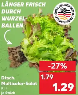 Kaufland Dtsch. Multicolor-Salat Angebot