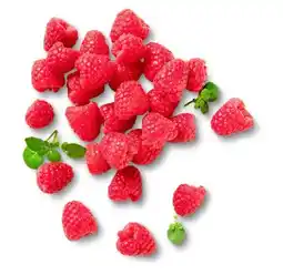 Kaufland Driscoll's Himbeeren Angebot