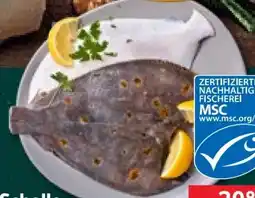 Kaufland Marinierte Scholle Angebot