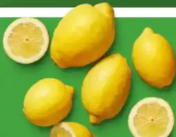 Kaufland Zitronen Angebot