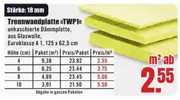 B1 Discount Baumarkt Trennwandplatte >>TWP1<< Angebot