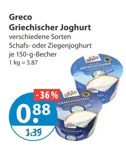 V Markt Greco griechischer joghurt schafsjoghurt Angebot