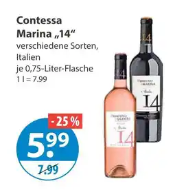 V Markt Contessa marina 14 Angebot