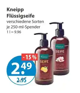 V Markt Kneipp flüssigseife Angebot