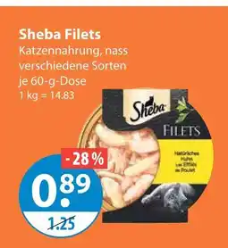 V Markt Sheba filets Angebot
