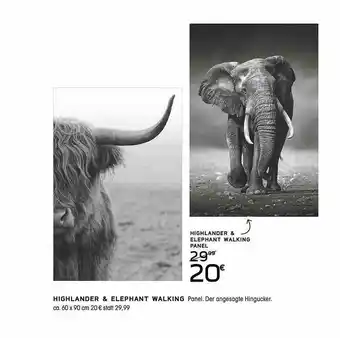 Kibek Highlander & Elephant Walking Panel Angebot