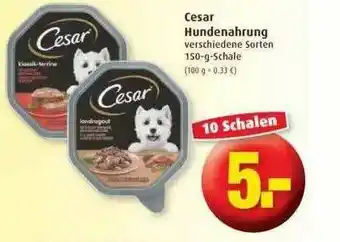 Markant Cesar Hundenahrung Angebot