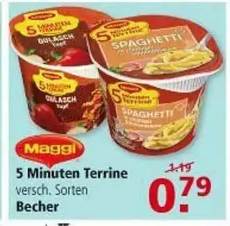 Multi Markt Maggi 5 Minuten Terrine Angebot