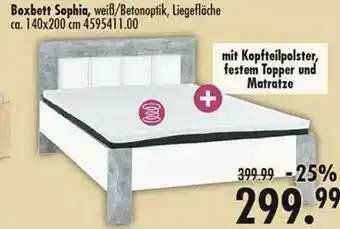 Möbel Boss Boxbett Sophia Angebot