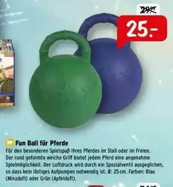 Raiffeisen Markt Fun Ball Für Pferde Angebot