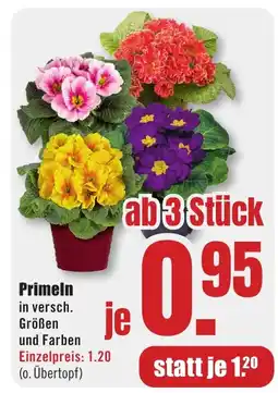 B1 Discount Baumarkt Primeln Angebot