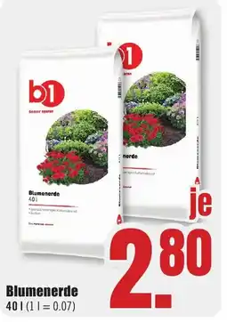 B1 Discount Baumarkt b1 Blumenerde Angebot