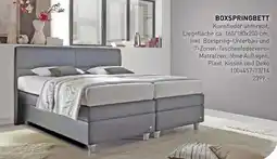 Möbel Martin RUF BETTEN Boxspringbett Angebot