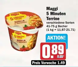AEZ Maggi 5 Minuten Terrine Angebot