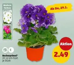 PENNY Becherprimel Angebot