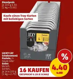 PENNY LUCKY CAT Schalenmenü Pastete, in Sauce oder Gelce Angebot