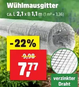 Thomas Philipps Wühlmausgitter Angebot