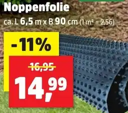 Thomas Philipps Noppenfolie Angebot
