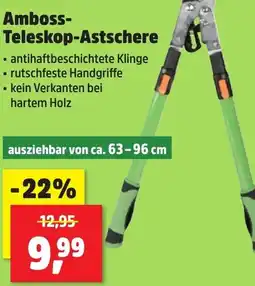 Thomas Philipps Amboss Teleskop-Astschere Angebot
