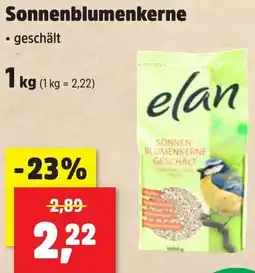 Thomas Philipps Sonnenblumenkerne Angebot