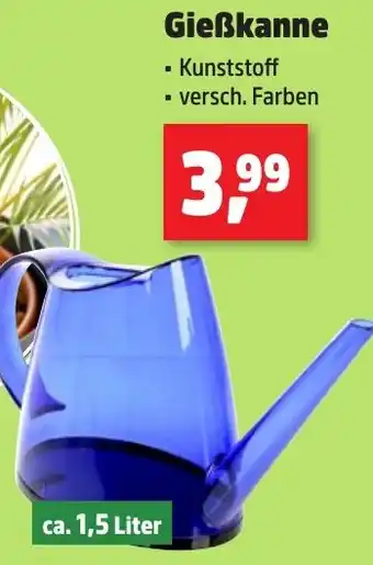 Thomas Philipps Gießkanne Angebot