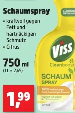 Thomas Philipps Schaumspray Angebot